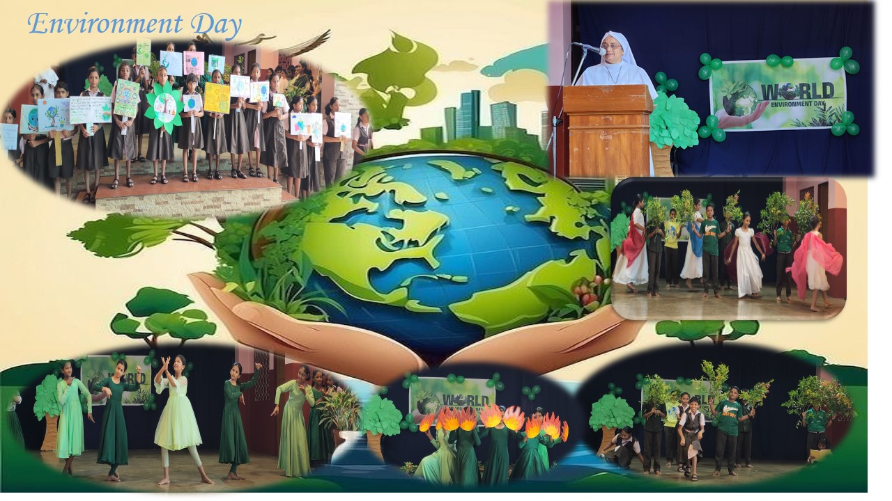 Nirmala School